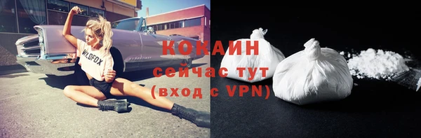 шишки Зеленодольск